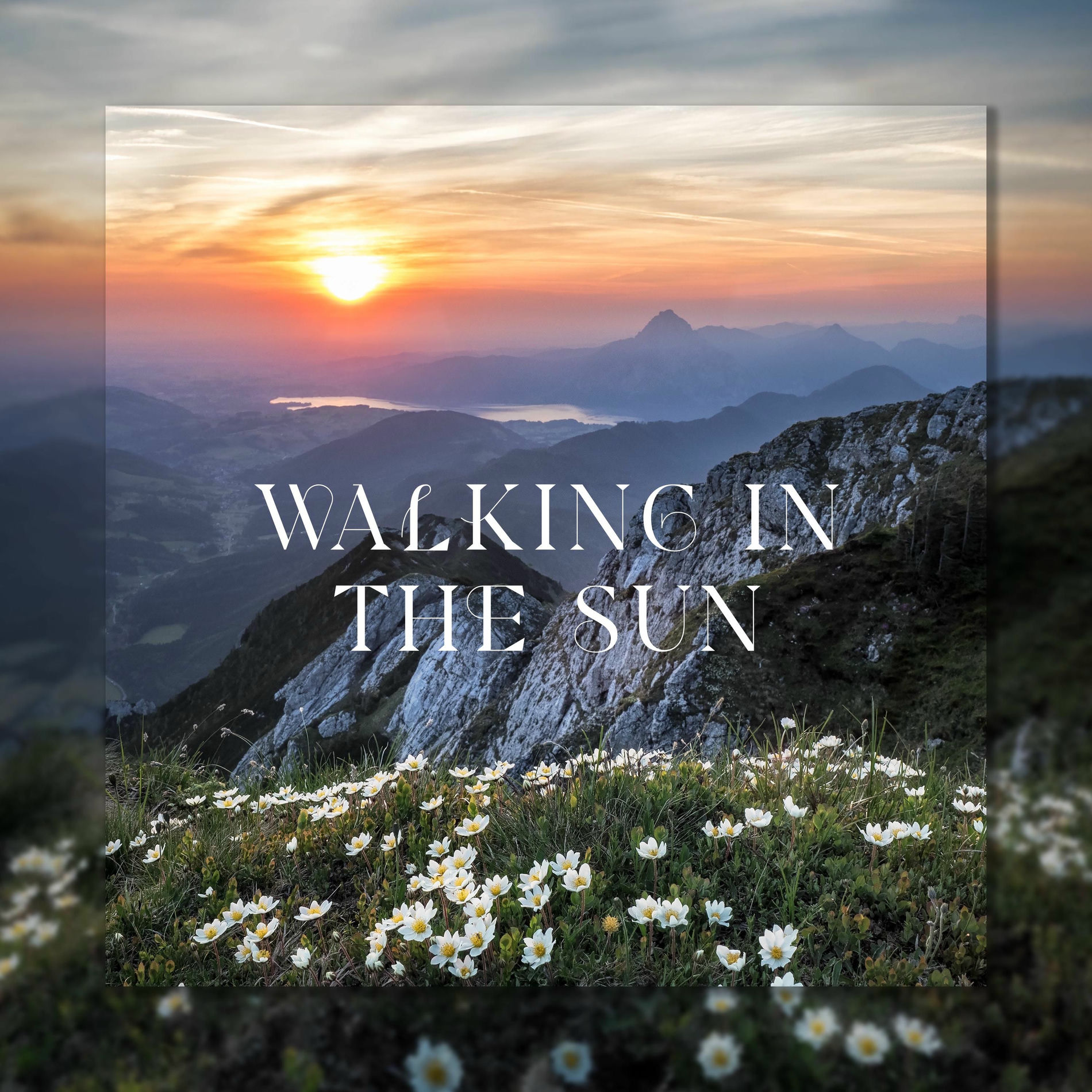 Album cover of Walking in the Sun