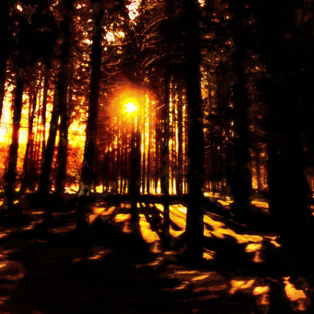 Picture of Serenity
