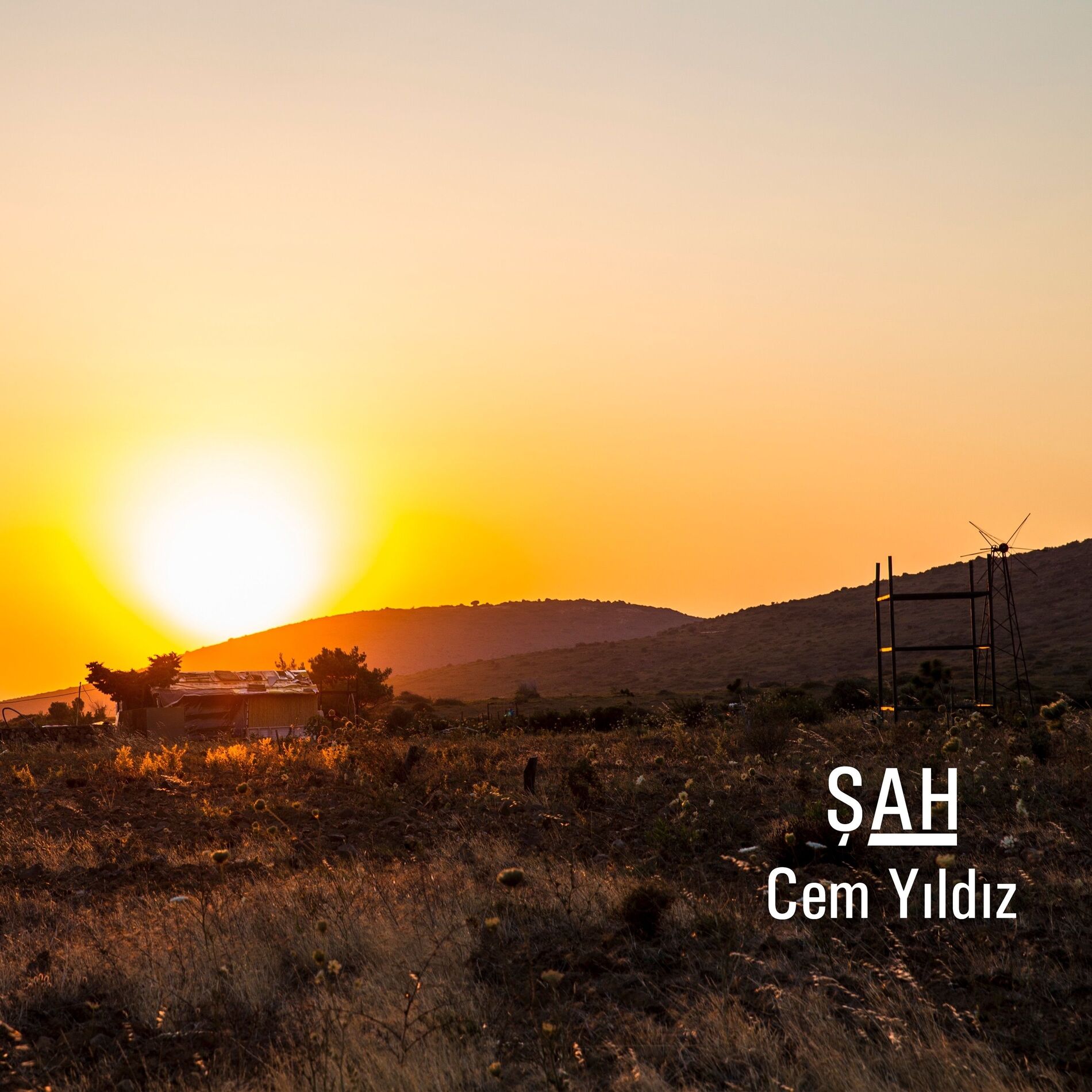 Album cover of Şah
