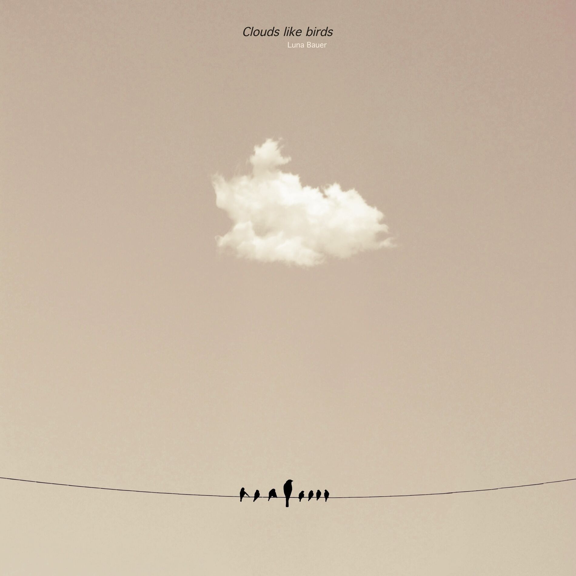 Album cover of Clouds like birds