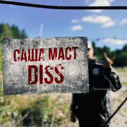 Cover of DISS