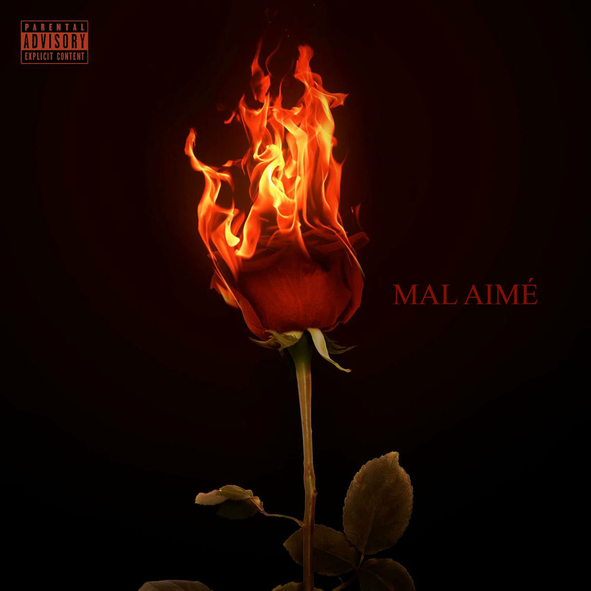Album cover of Mal Aimé