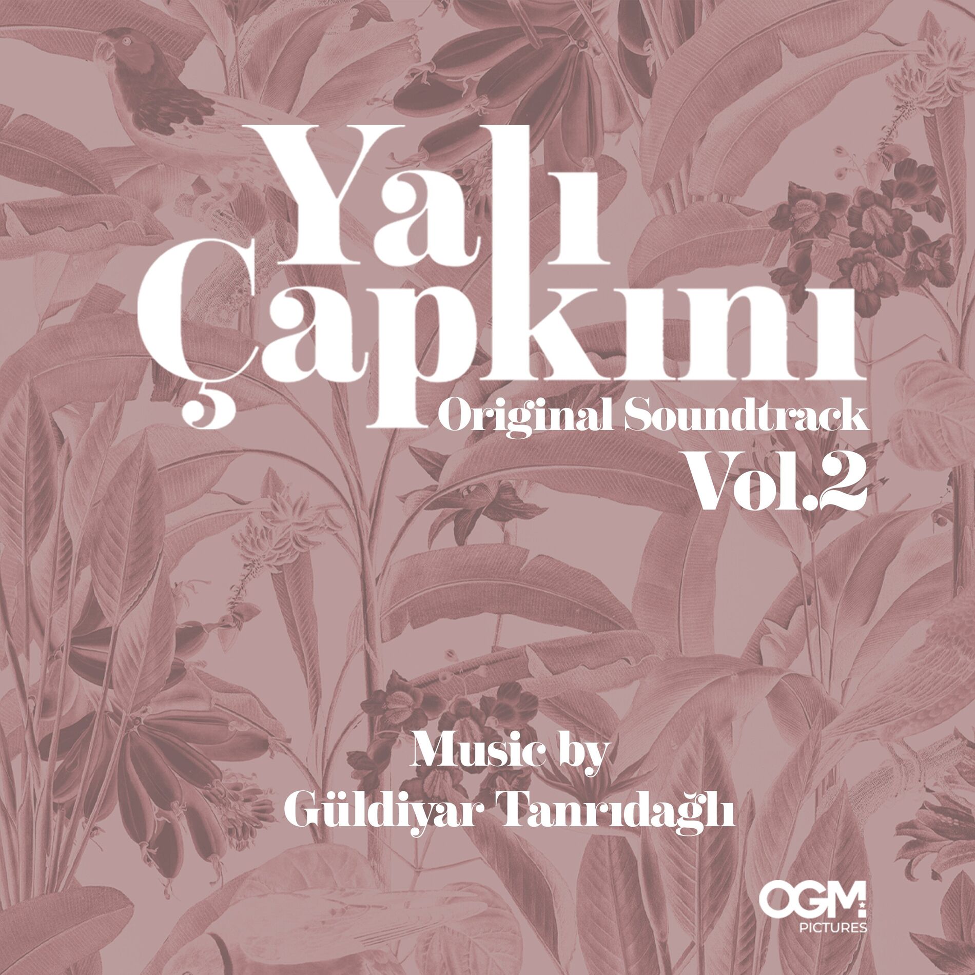 Album cover of İçimdeki Fırtına