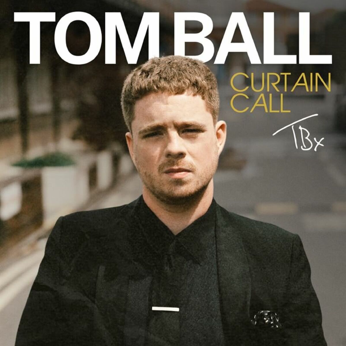 Album cover of Curtain Call