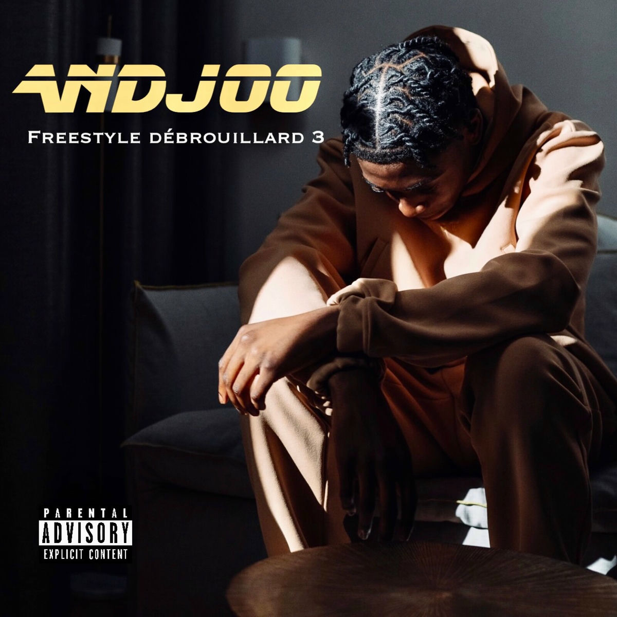 Album cover of Freestyle Débrouillard 3