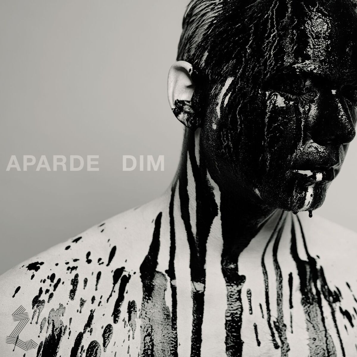 Album cover of Dim