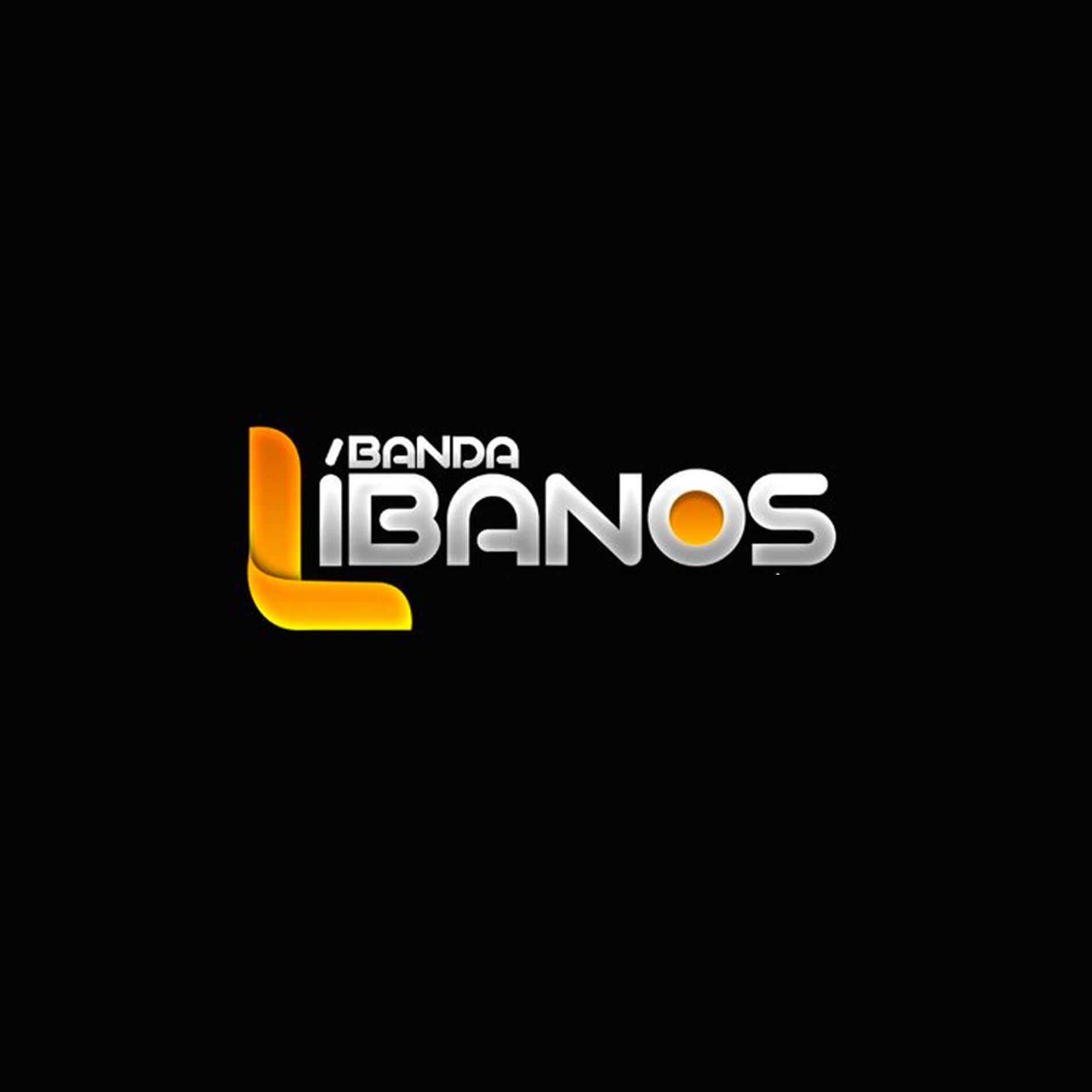 Album cover of Siga Seu Rumo