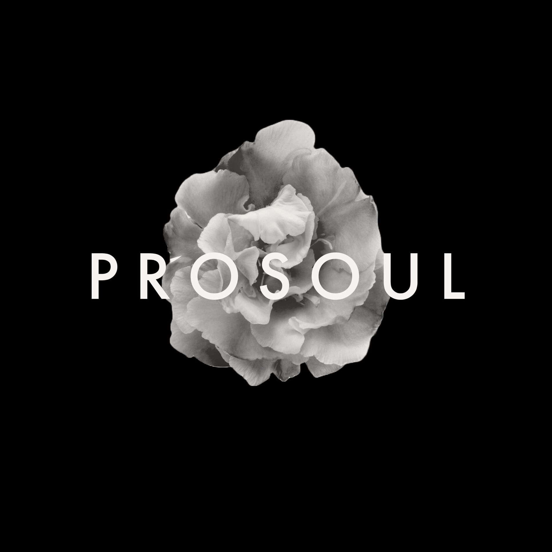 Album cover of P R O S O U L