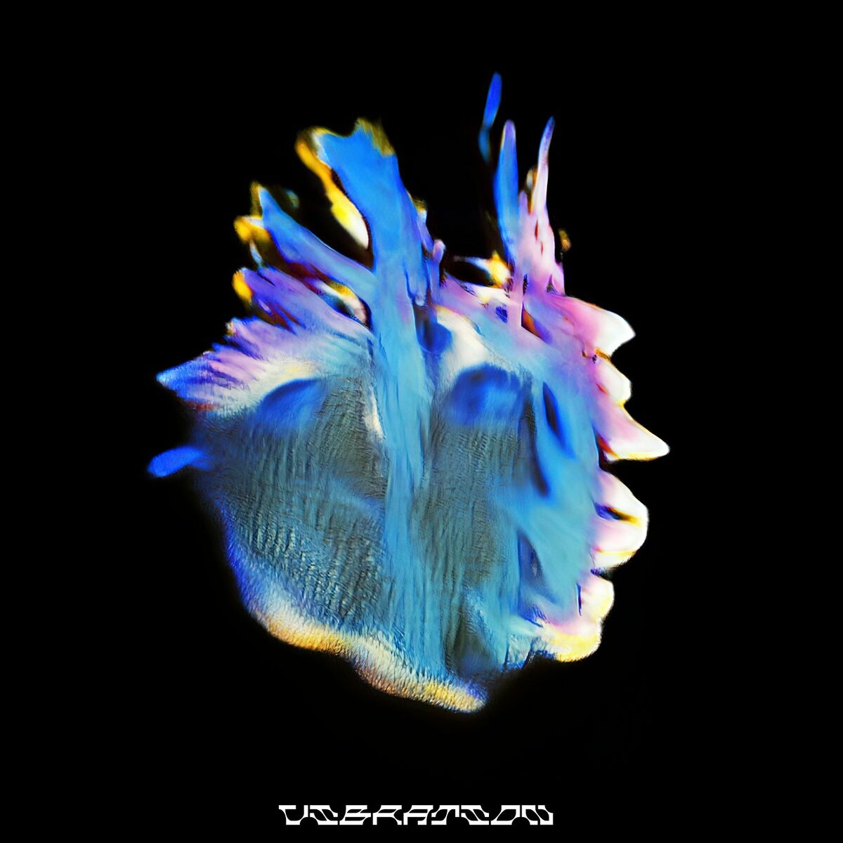Album cover of Vibration (One More Time)