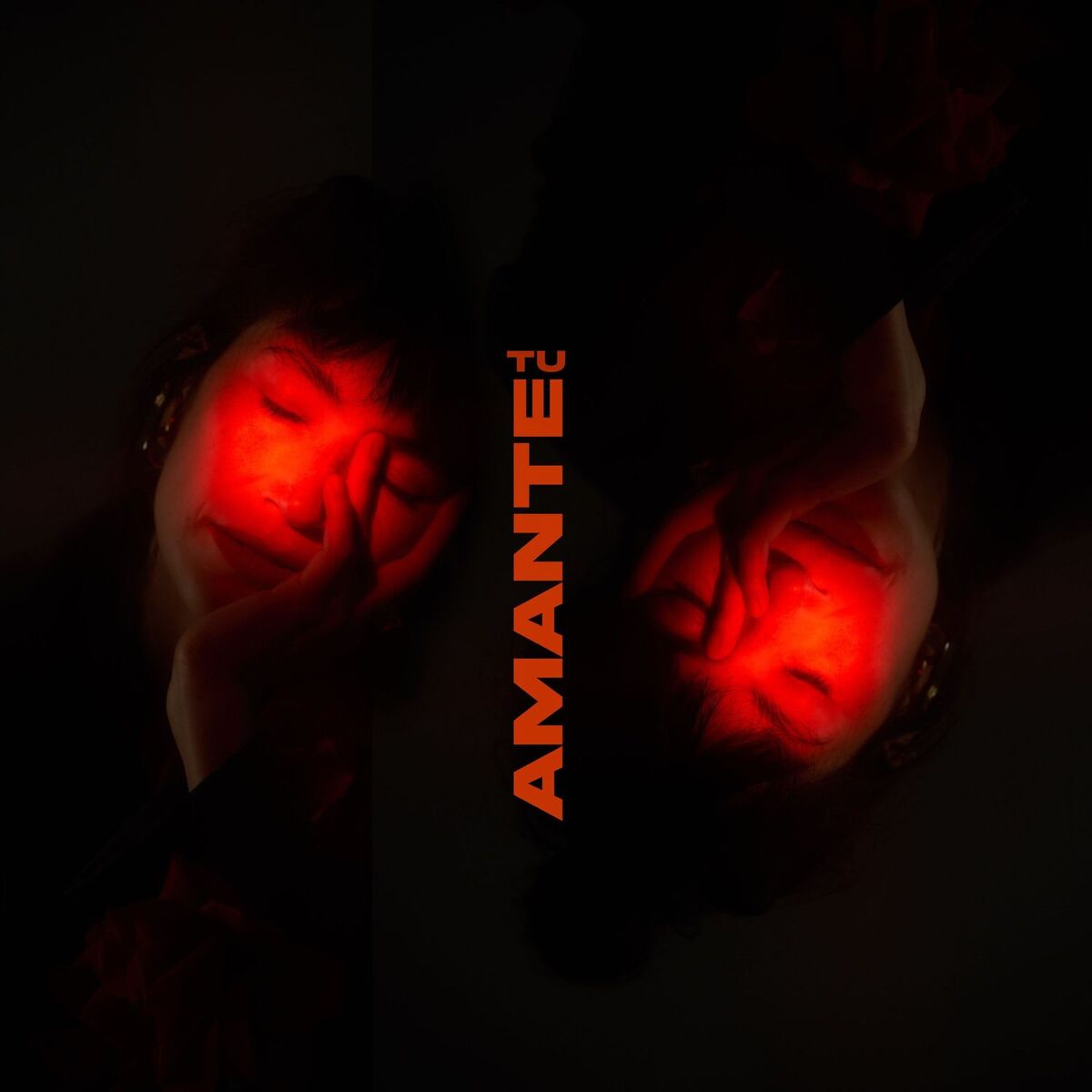 Album cover of Tu Amante