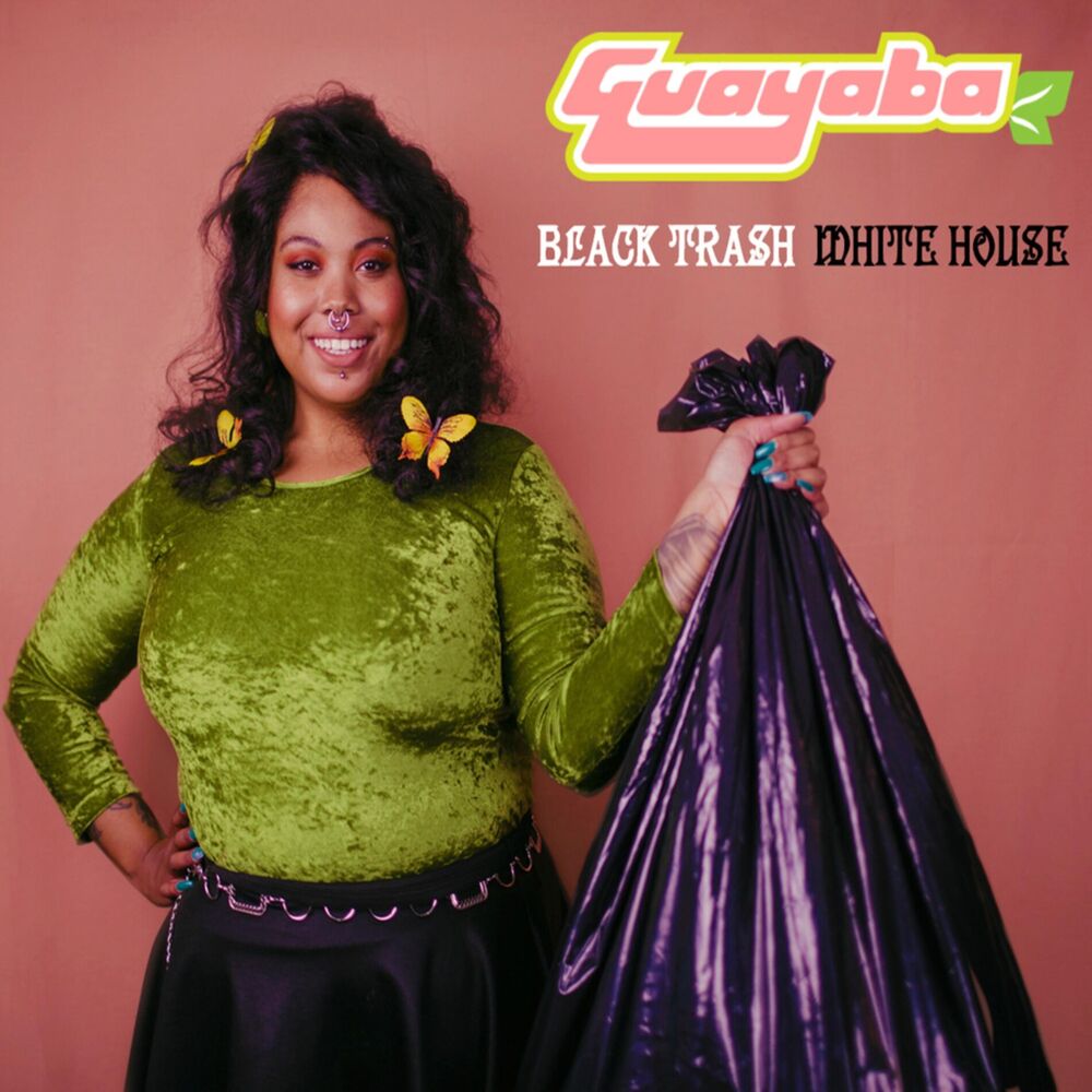 Picture of Black Trash, White House