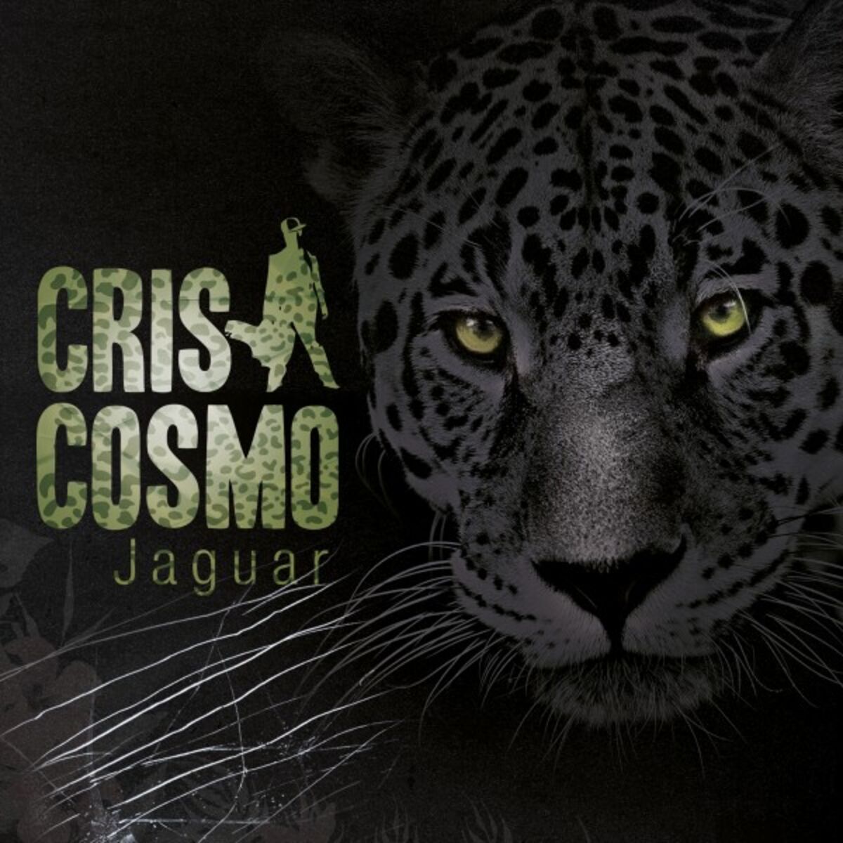 Album cover of Jaguar