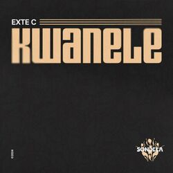 Cover of Kwanele