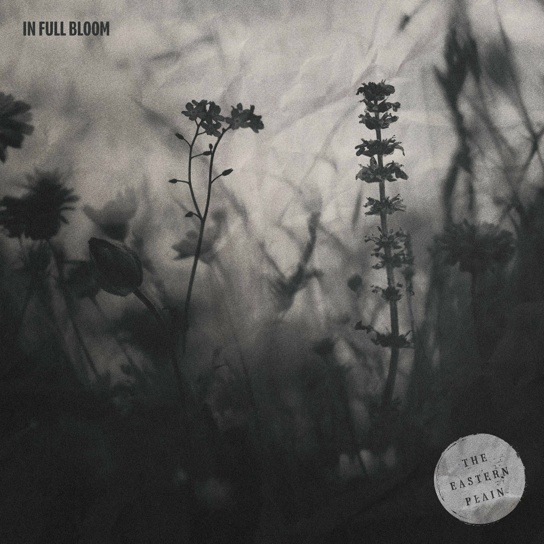 Album cover of Something New