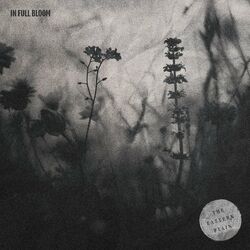 Cover of In Full Bloom
