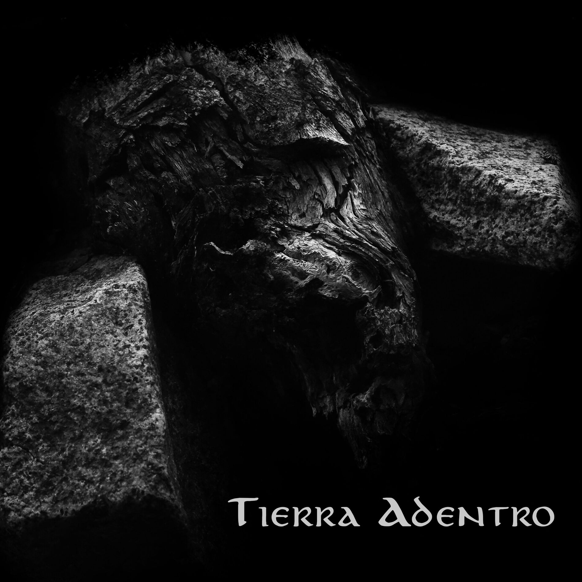 Album cover of Tierra Adentro