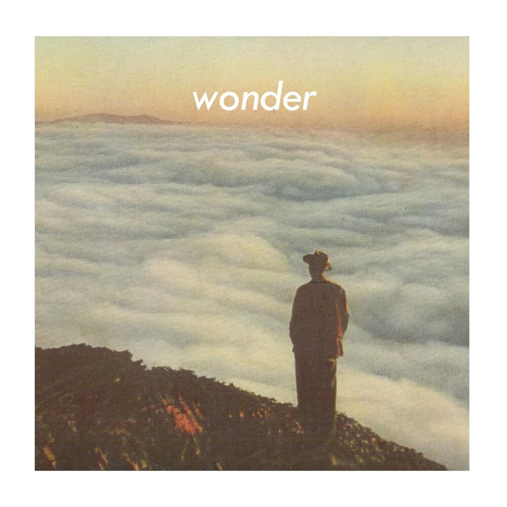 Picture of wonder