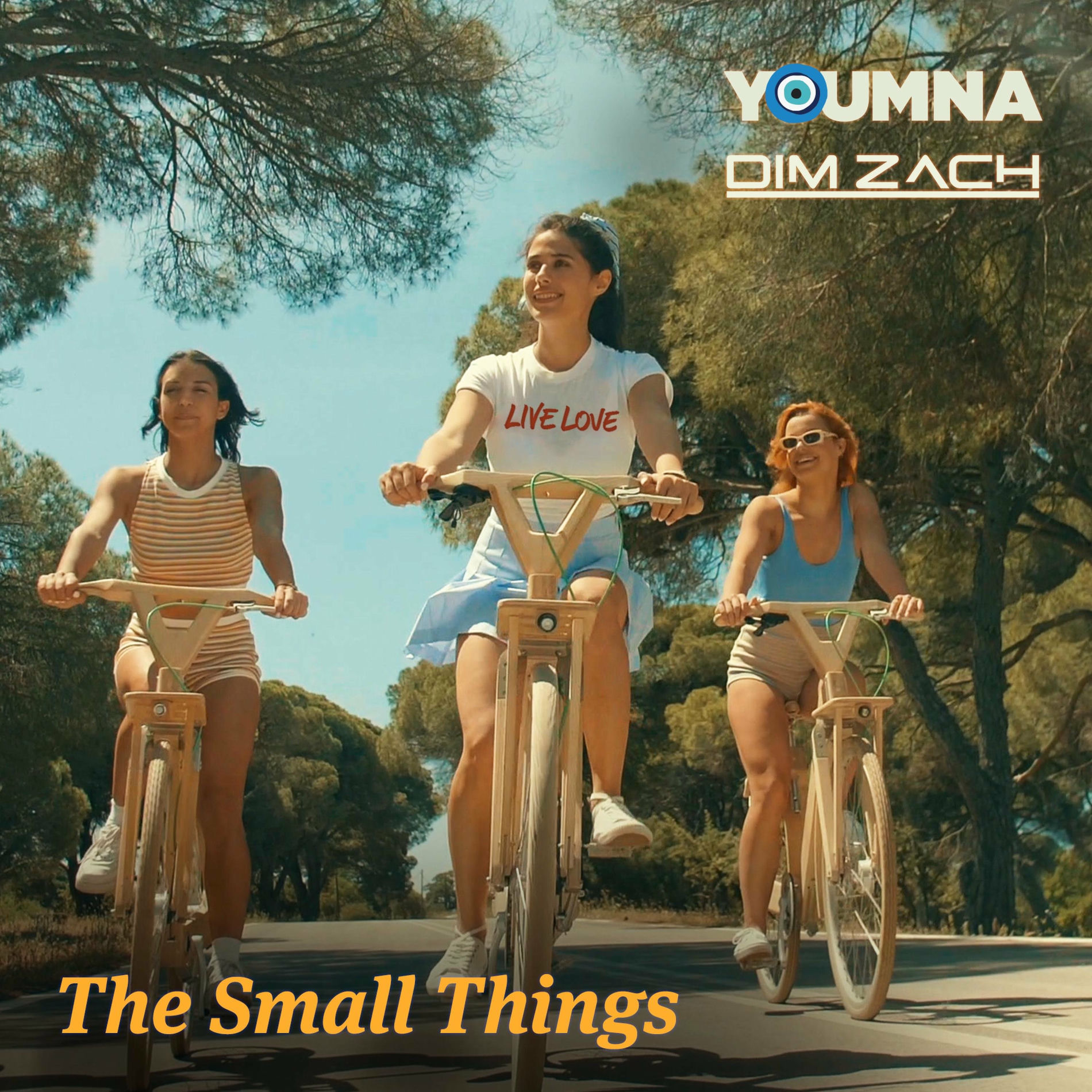 Album cover of The Small Things (feat. Dim Zach)