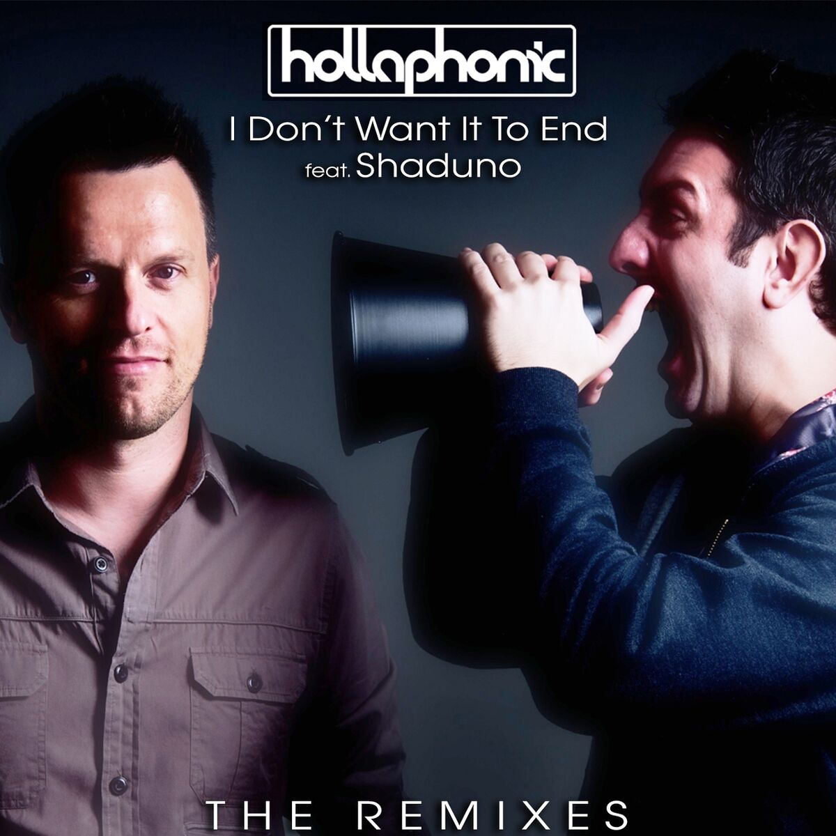 Album cover of I Don't Want It To End