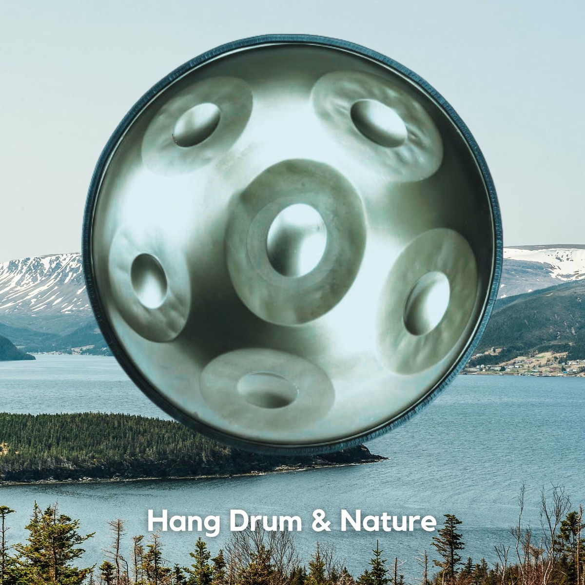 Album cover of Hang Drum & Nature