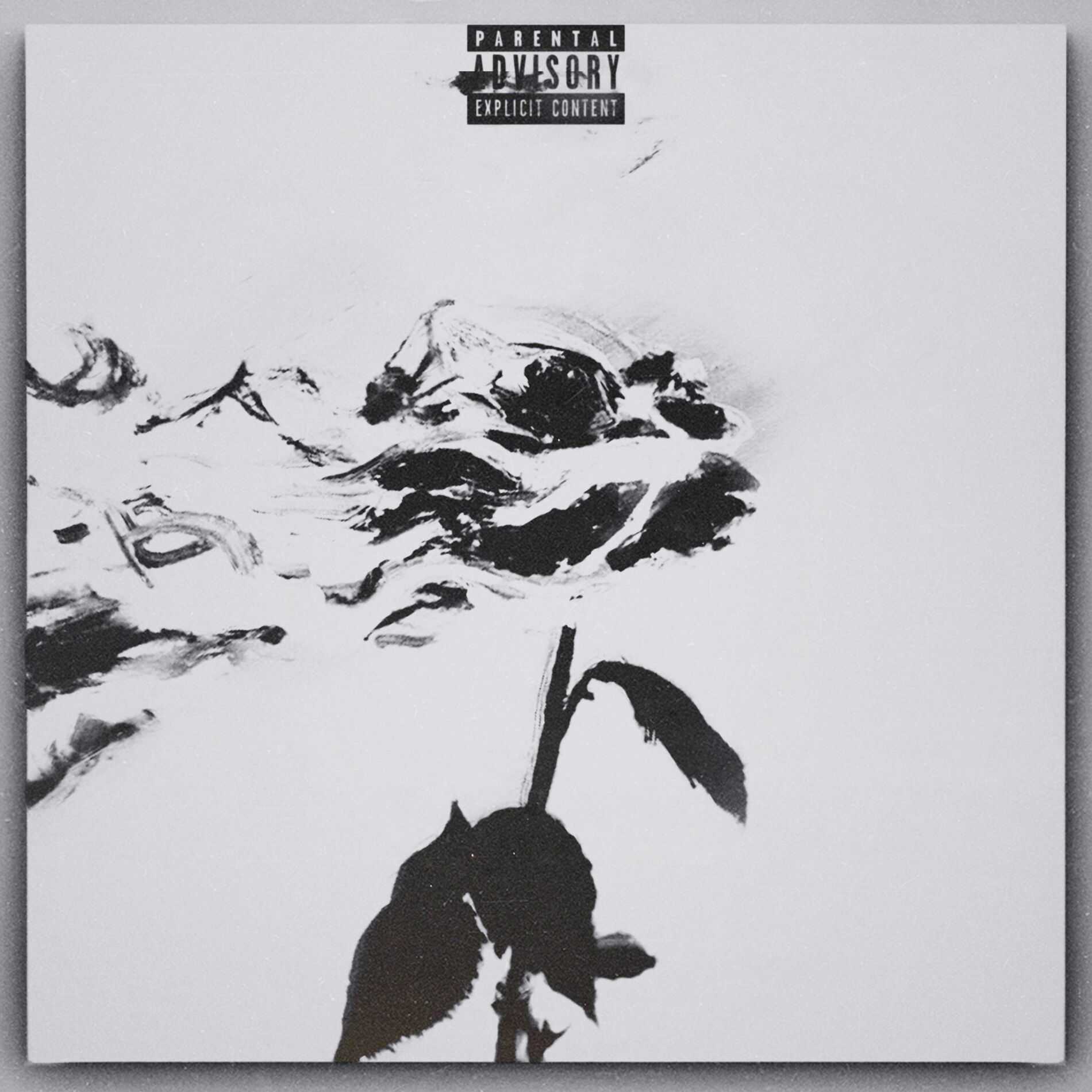 Album cover of Never Give Up on Love (feat. Kadi)