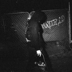 Cover of 222