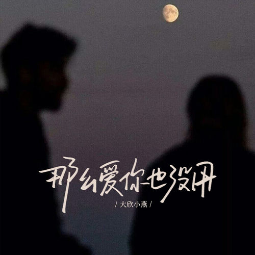 那么爱你也没用