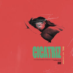 Cover of Cicatriz