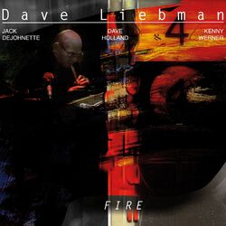 Cover of Fire