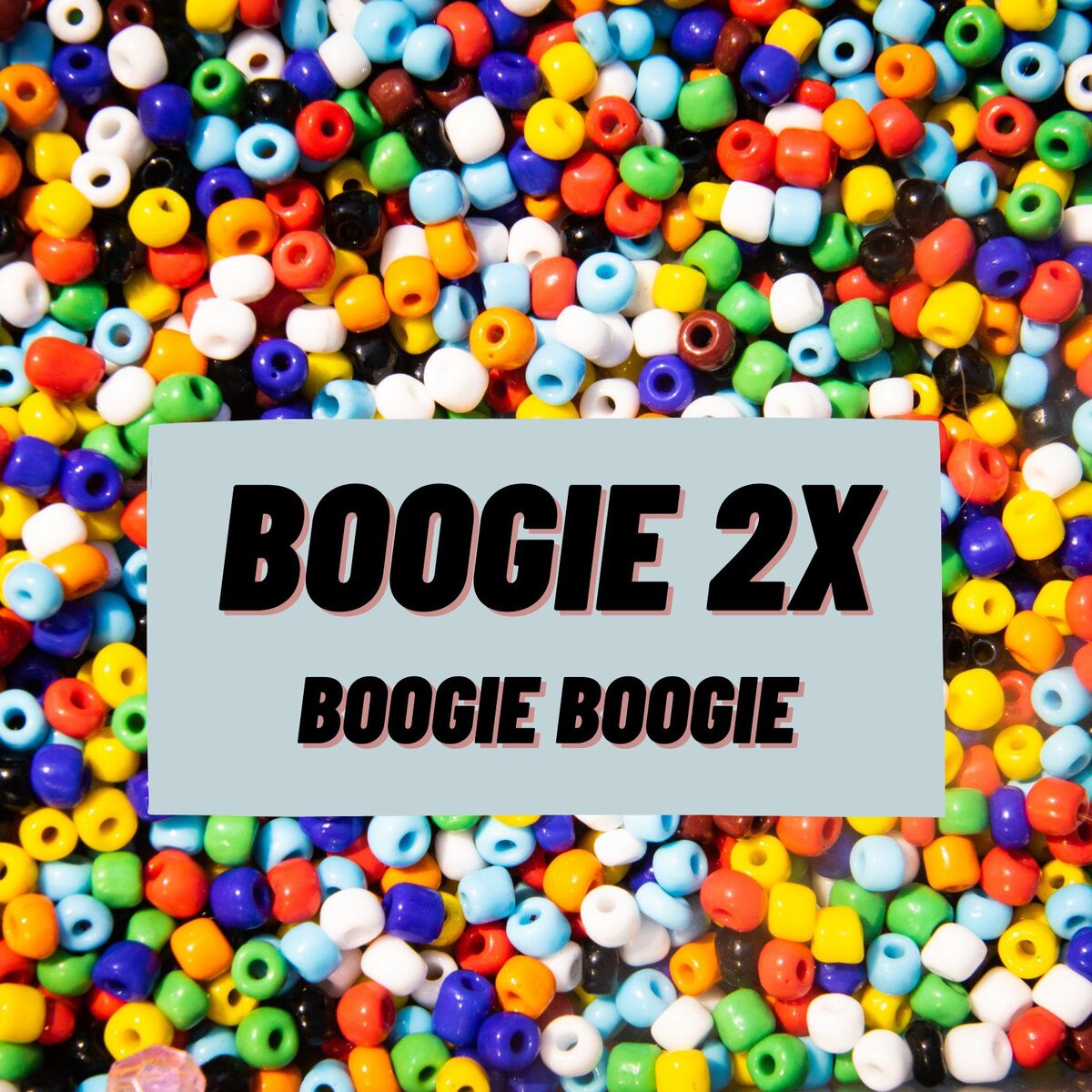Album cover of Intro into the Boogie