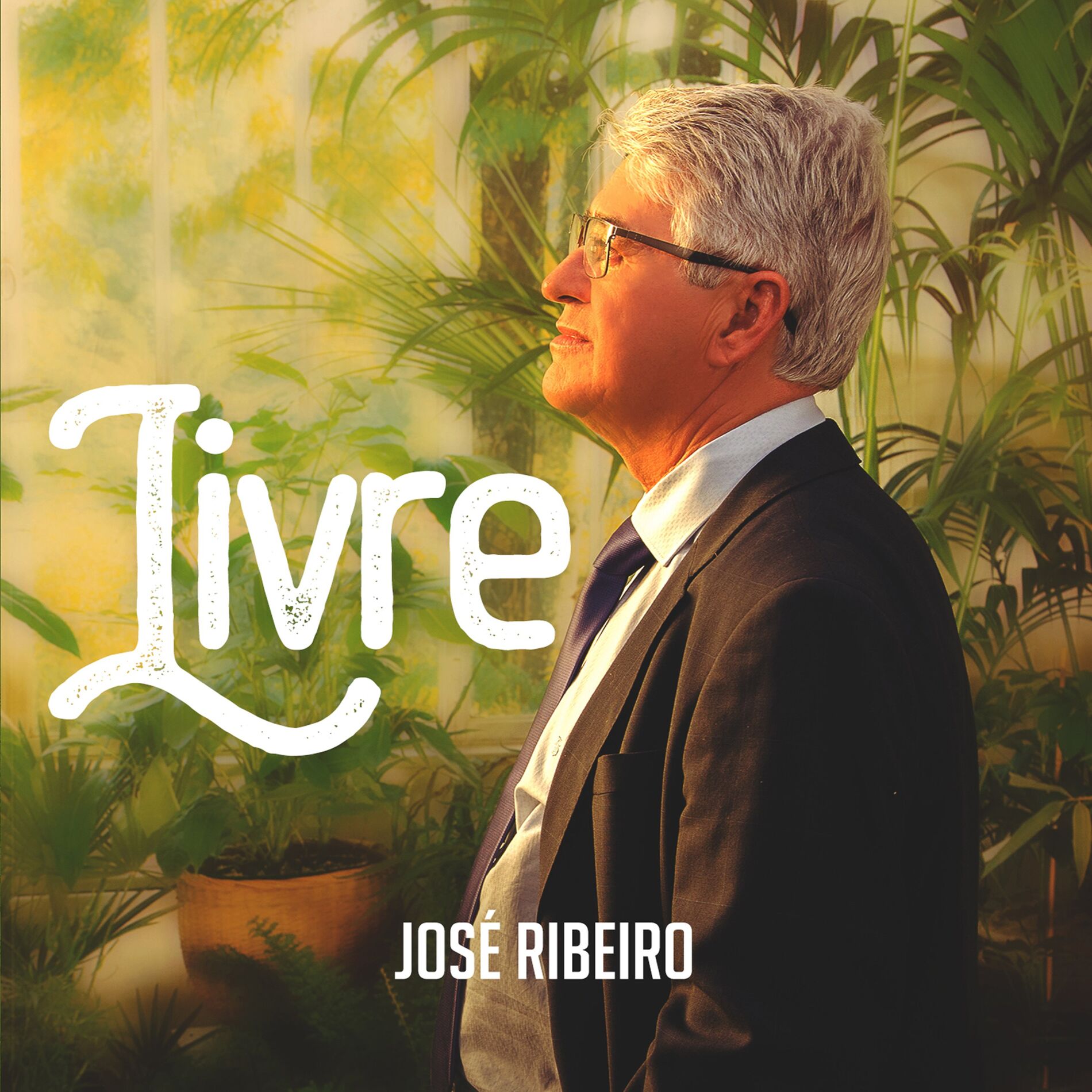 Album cover of Livre