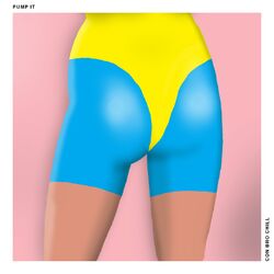 Cover of Pump It