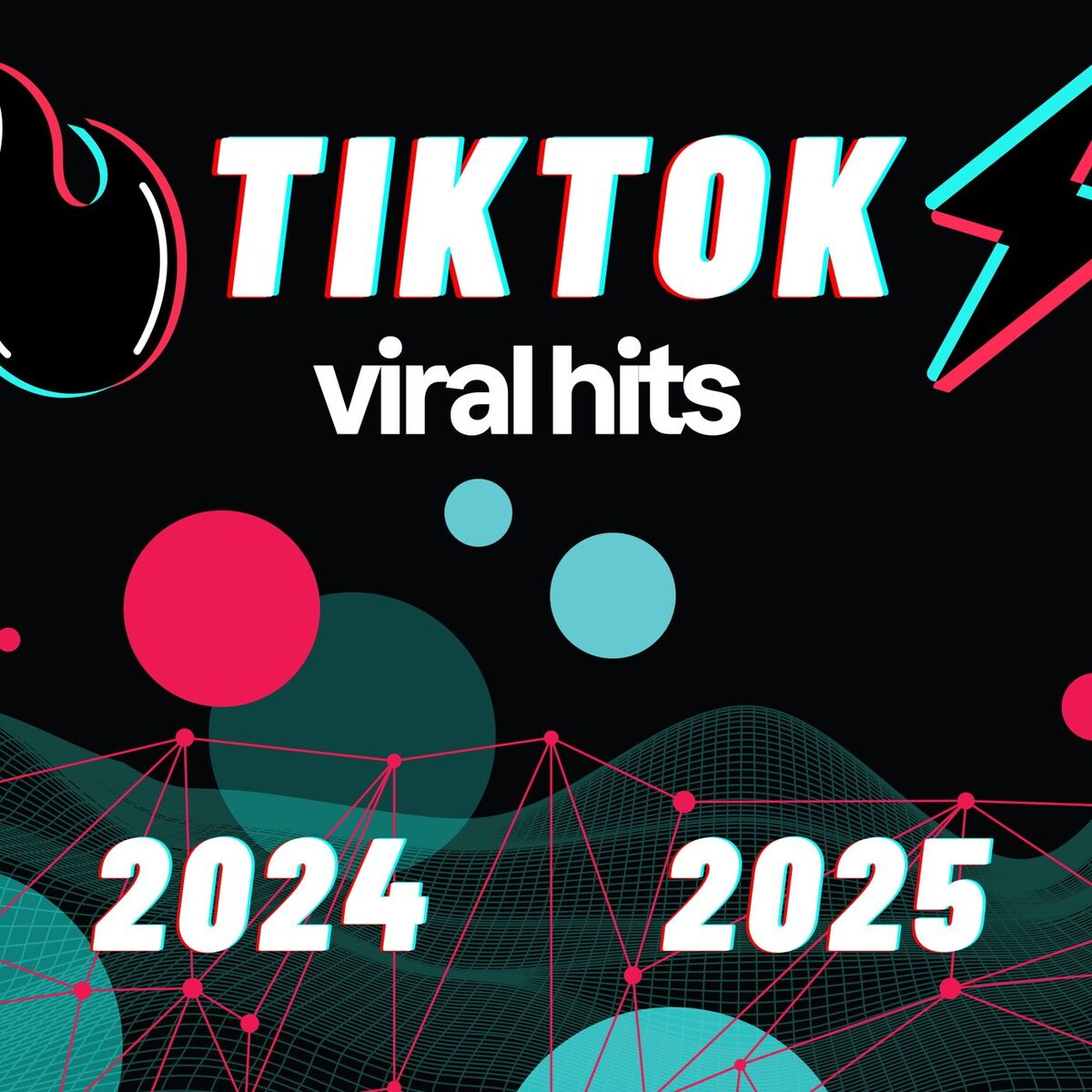 Album cover of TikTok Viral Hits 2024 2025