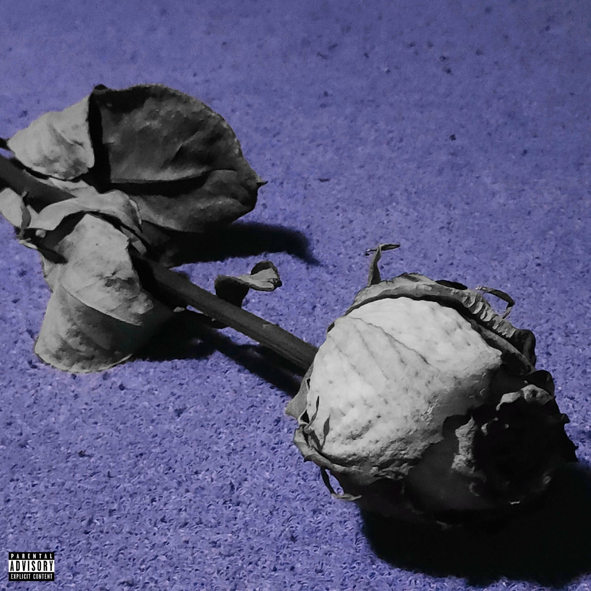 Album cover of TRNY