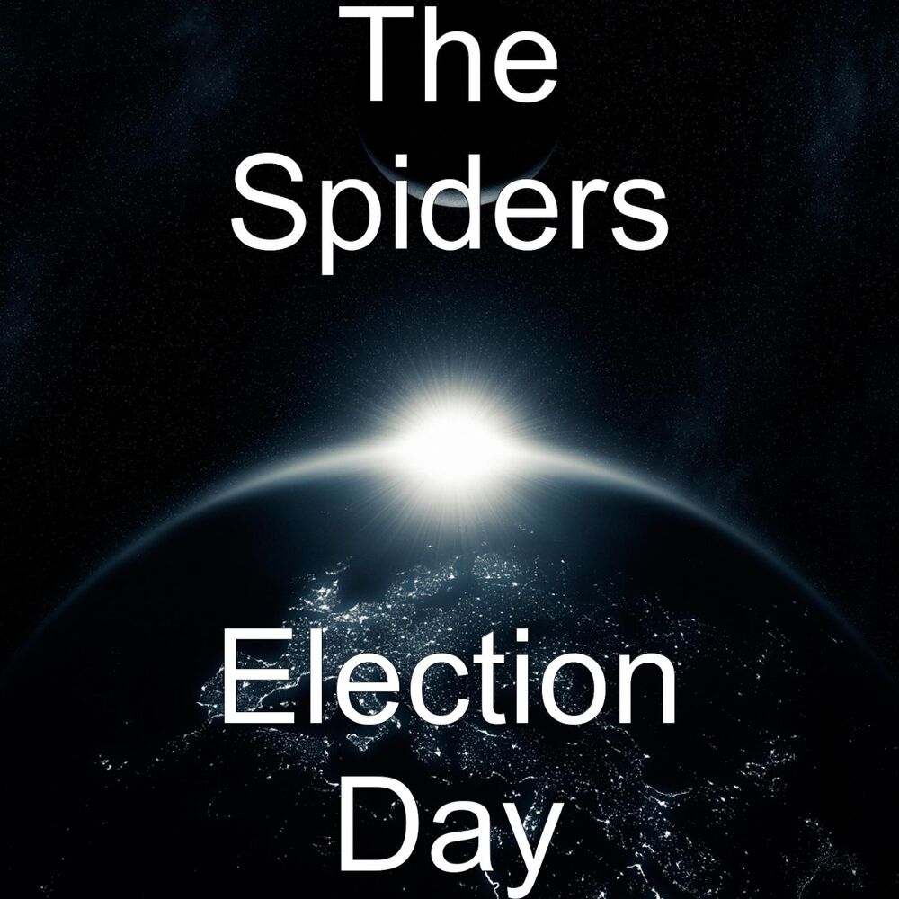 Picture of Election Day