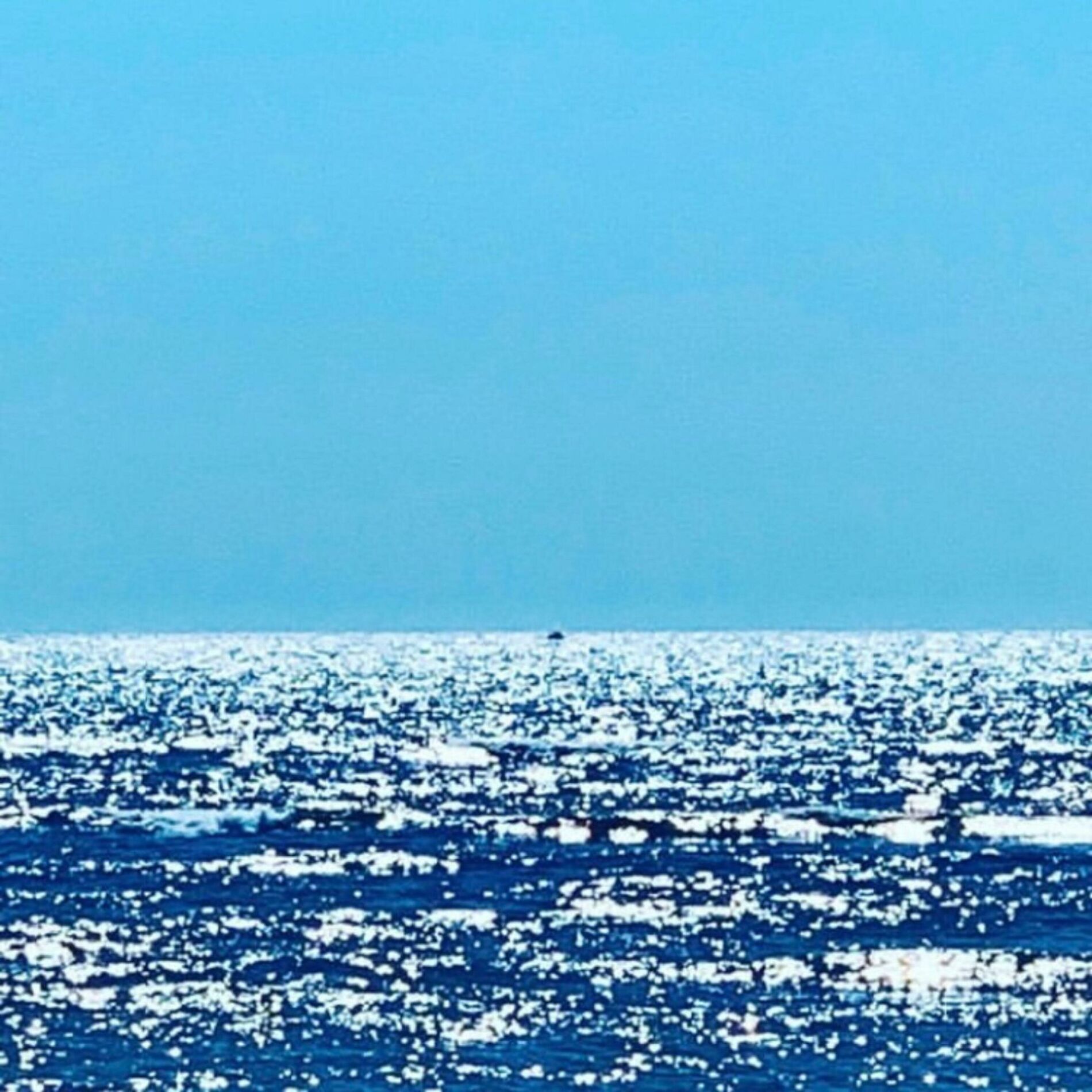 Album cover of Far Away