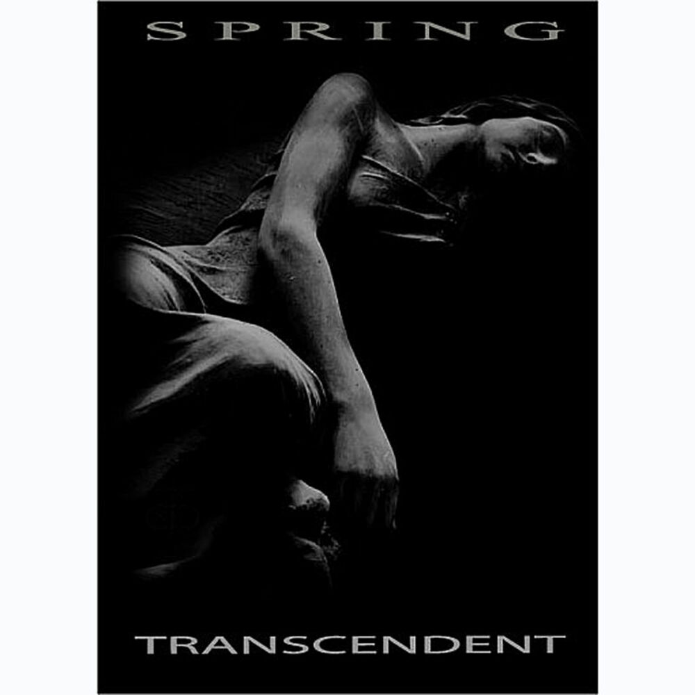 Picture of Transcendent