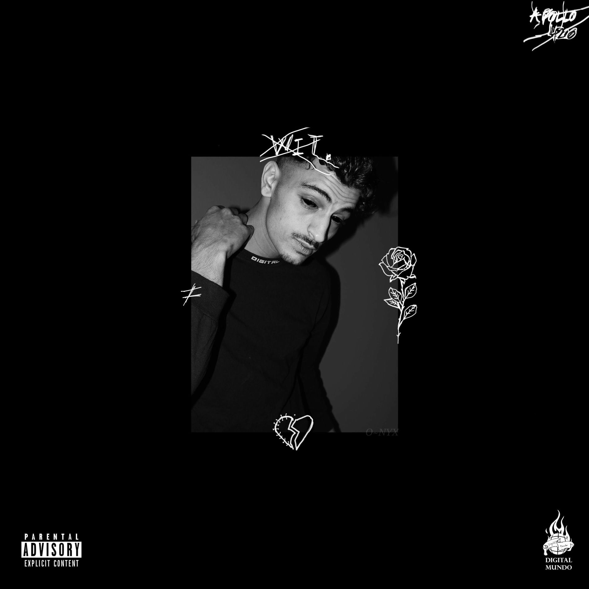 Album cover of Onyx