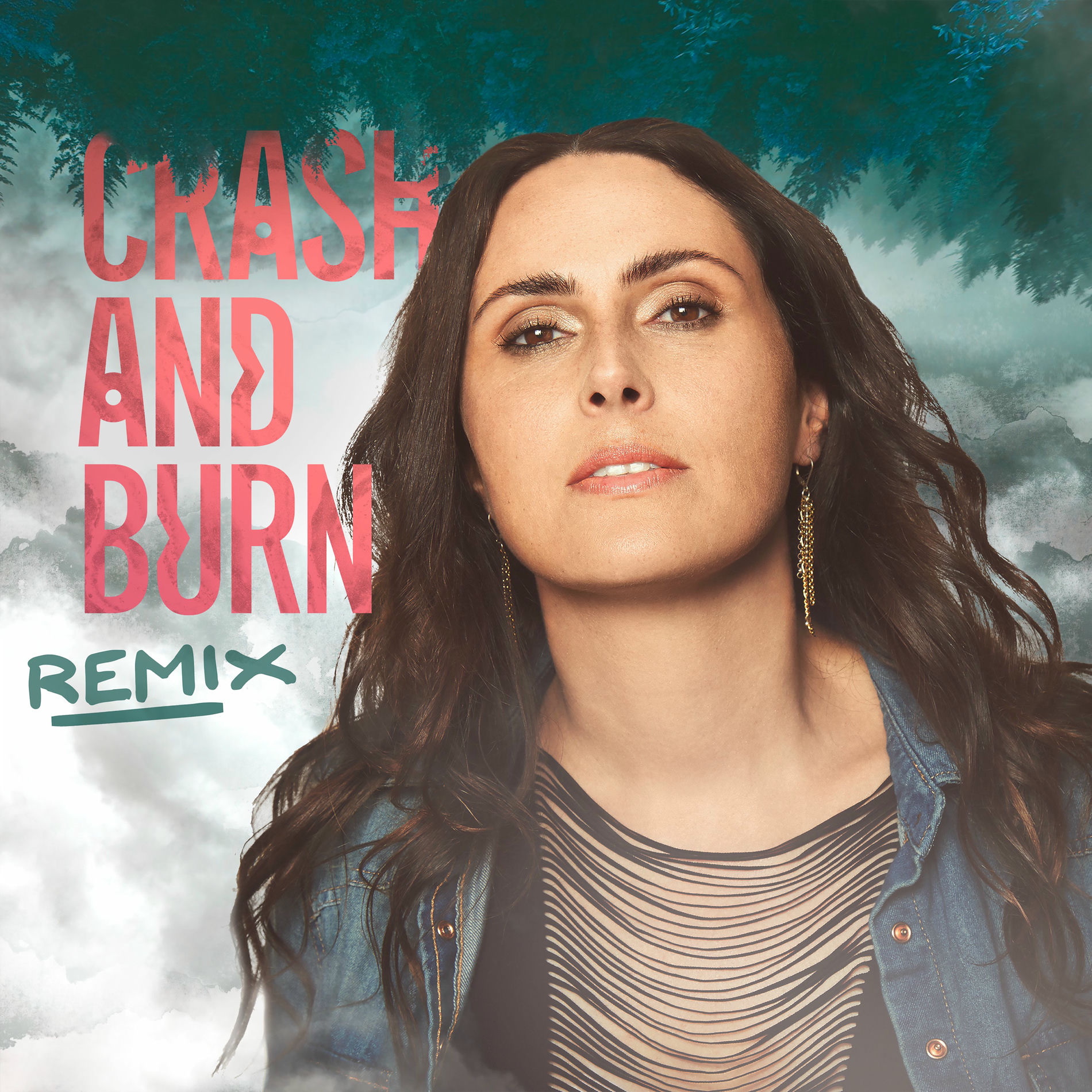Album cover of Crash and Burn (Leeb Remix)