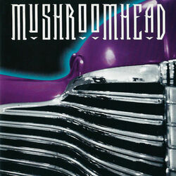 Cover of Superbuick