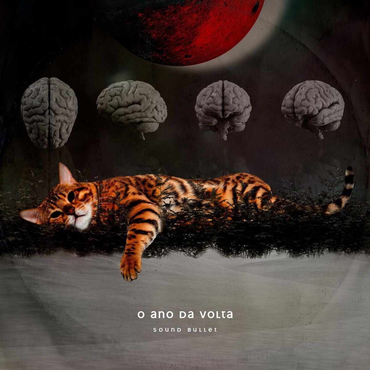 Album cover of O Ano da Volta