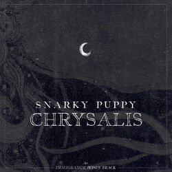 Cover of Chrysalis