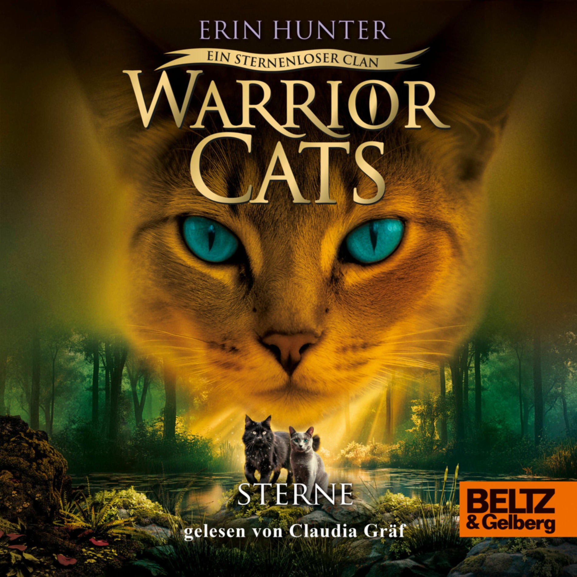Album cover of Warrior Cats - Ein sternenloser Clan. Sterne (Staffel VIII, Band 6)