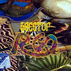 The Best of R-Go