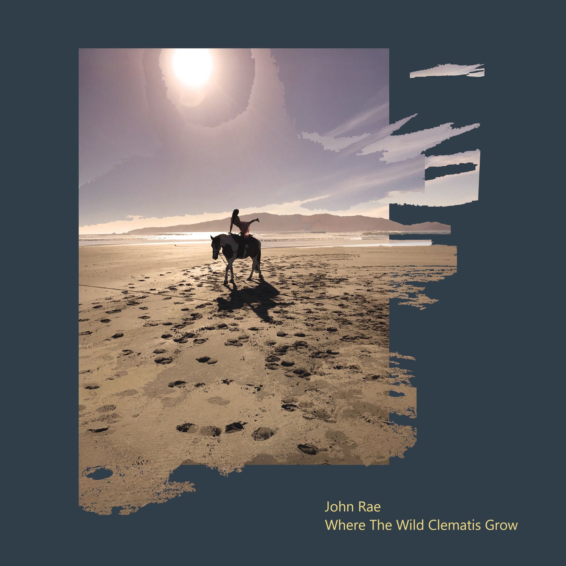 Album cover of Where the Wild Clematis Grow