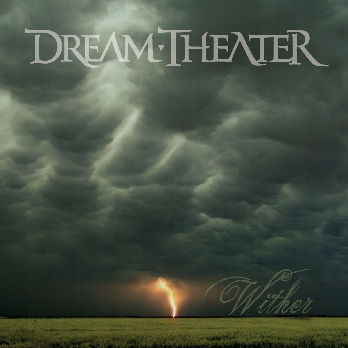 Album cover of Wither