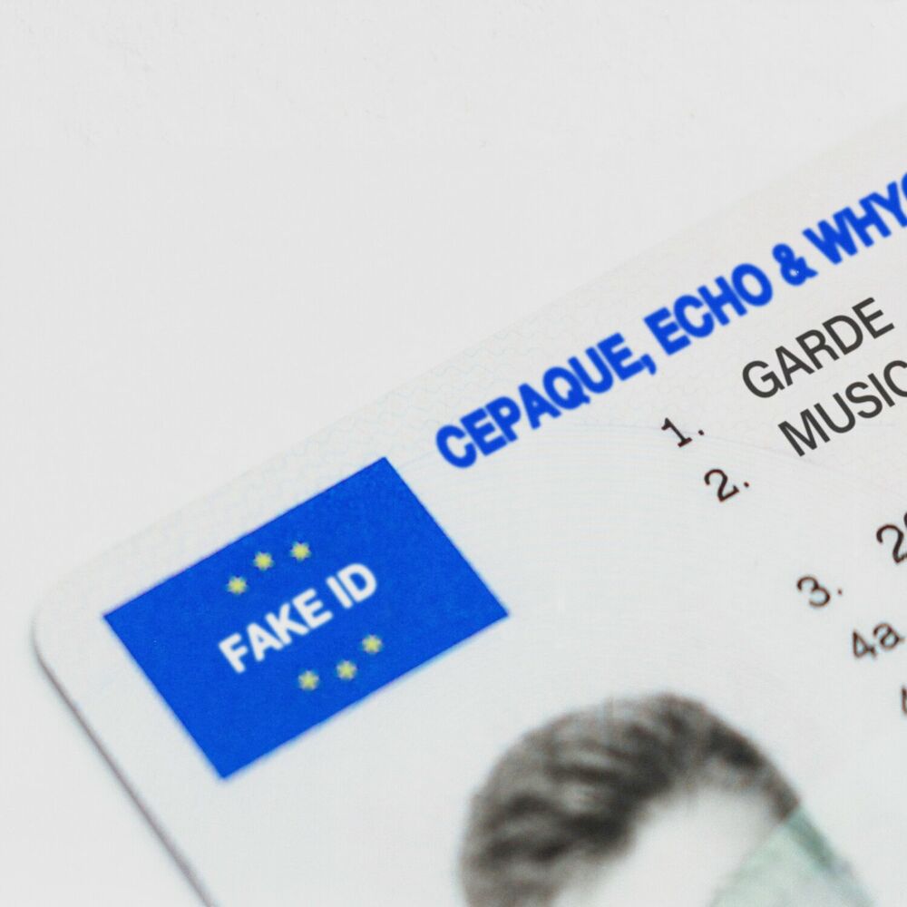 Picture of Fake ID