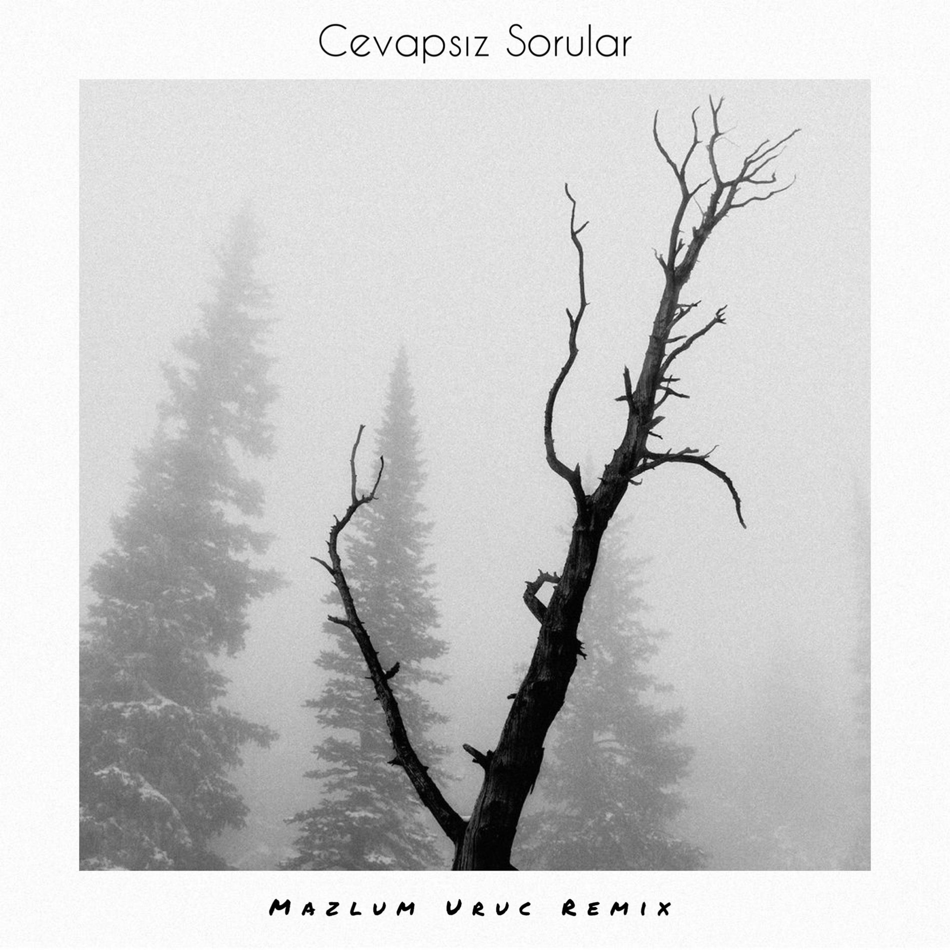 Album cover of Manga - Cevapsız Sorular (Mazlum Uruc Remix)