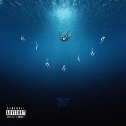 Cover of Sinking