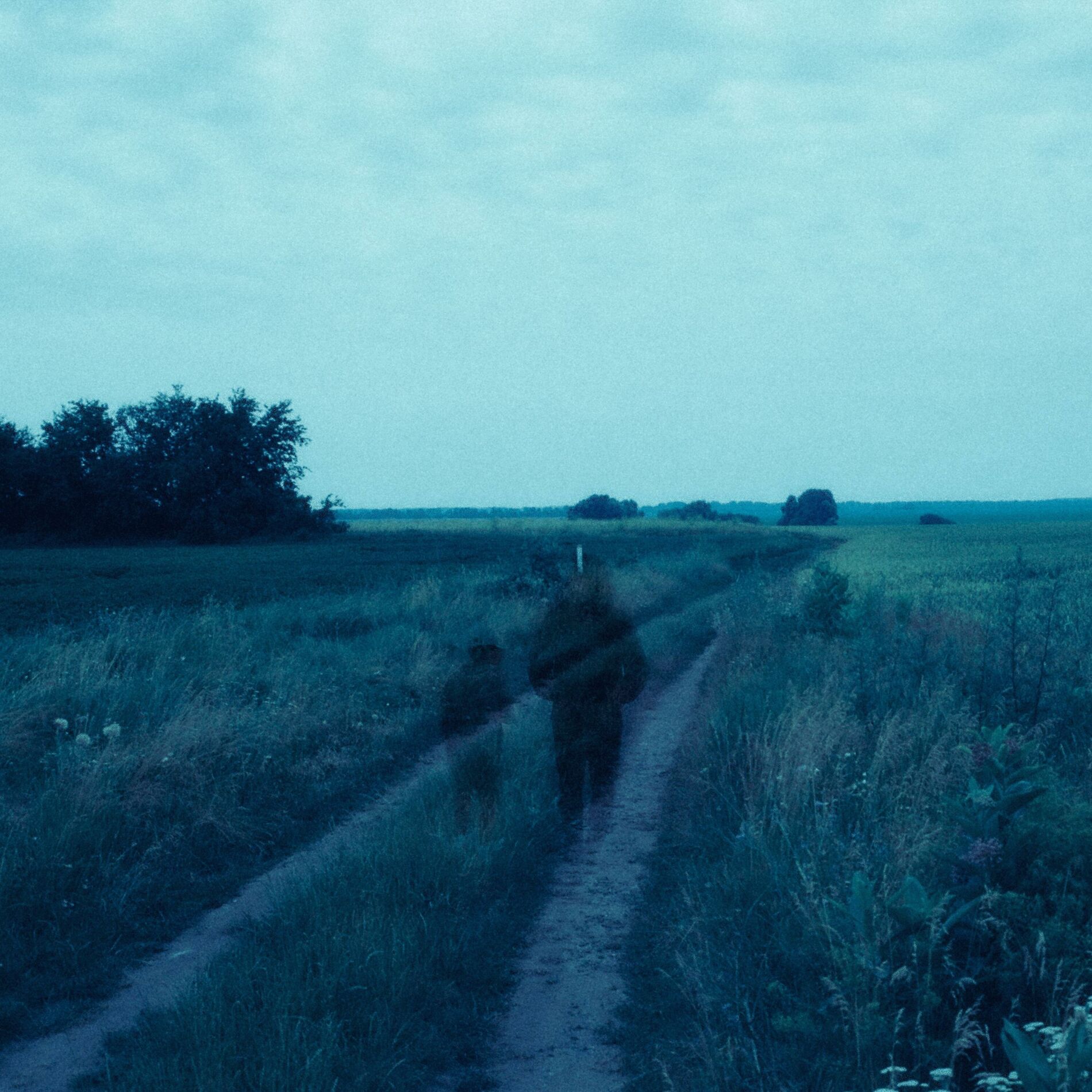 Album cover of reveries of us